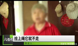 三级图片视频,探寻视觉艺术的无限魅力